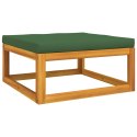 VidaXL 10-cz. zestaw wypoczynkowy do ogrodu, zielone poduszki, drewno